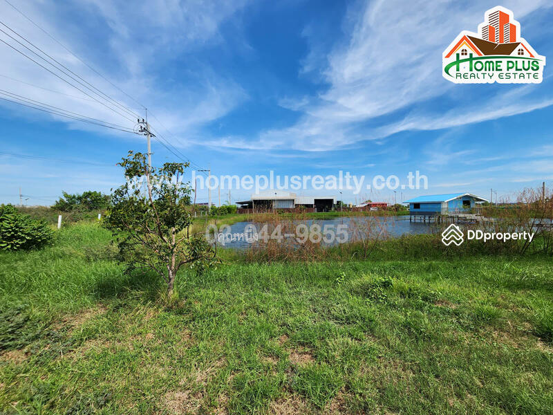ขาย - ที่ดินพร้อมสวนใกล้วัดหงษ์ทอง ถนนสุขุมวิท อำเภอบางบ่อ สมุทรปราการ เนื้อที่ 3 ไร่, สมุทรปราการ