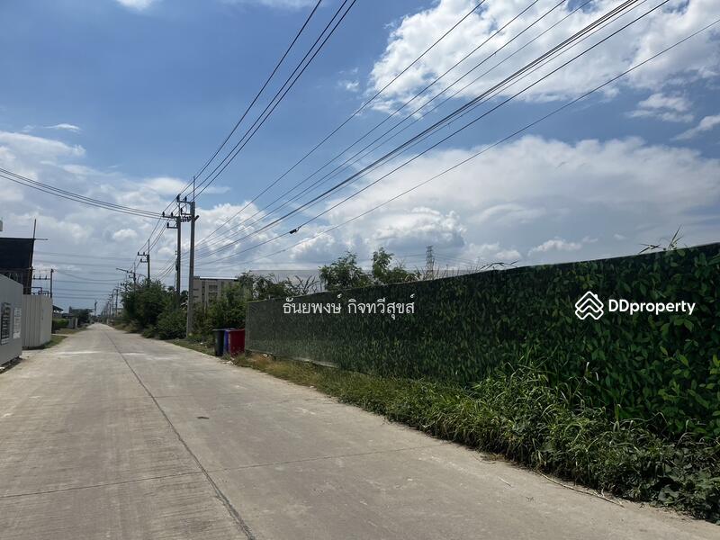 ขาย - คลอง1 คลองหลวง25, ปทุมธานี