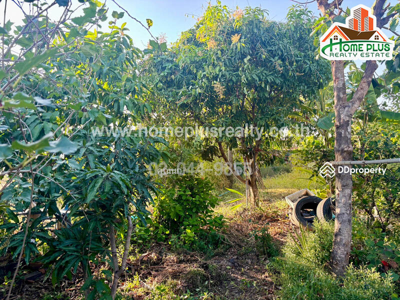 For Sale - ที่ดินพร้อมสิ่งปลูกสร้าง อำเภอบางเสาธง สมุทรปราการ เนื้อที่ 3 ไร่ 2 งาน 13 ตารางวา, Samut Prakan