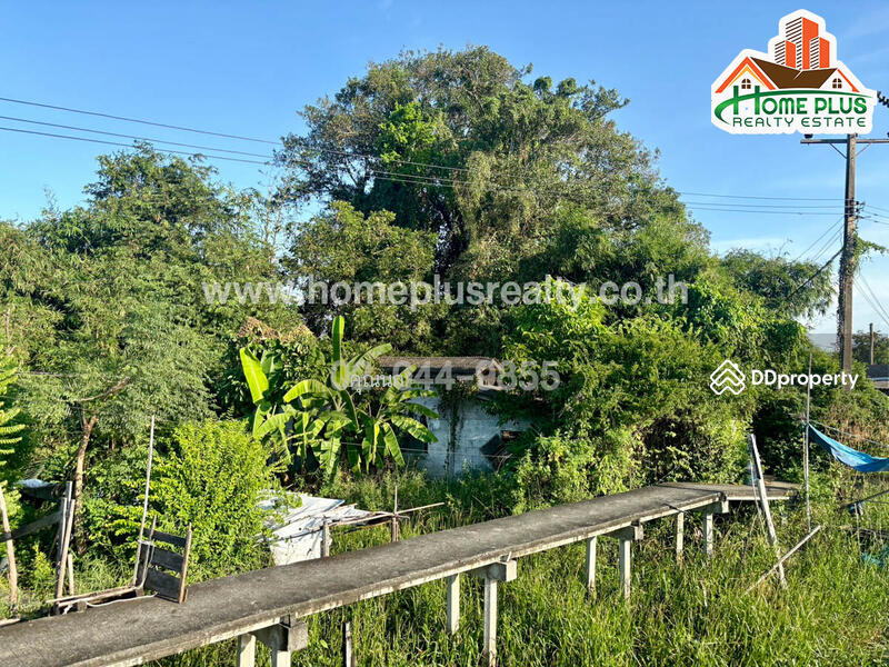 For Sale - ที่ดินพร้อมสิ่งปลูกสร้าง อำเภอบางเสาธง สมุทรปราการ เนื้อที่ 3 ไร่ 2 งาน 13 ตารางวา, Samut Prakan