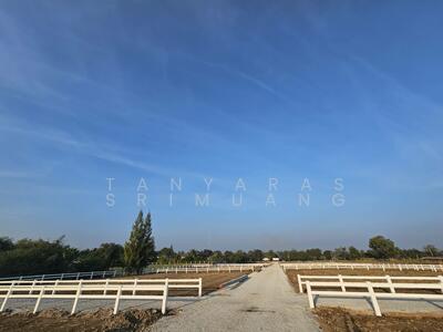 ขาย - โอกาสทองสำหรับการลงทุน ที่ดินวิวเขา 200 ตรว. สุดพิเศษ ใจกลางเขาใหญ่, นครราชสีมา