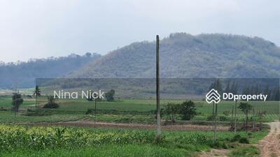 ขาย - ขายที่ดินจัดสรร หนองอิรุณ บ้านบึง ชลบุรี 187 ไร่, ชลบุรี