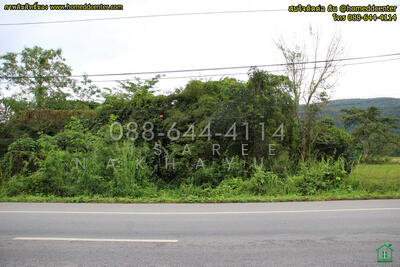 ขาย - ที่ดิน ติดถนนพหลโยธิน อ.พาน เชียงราย, เชียงราย