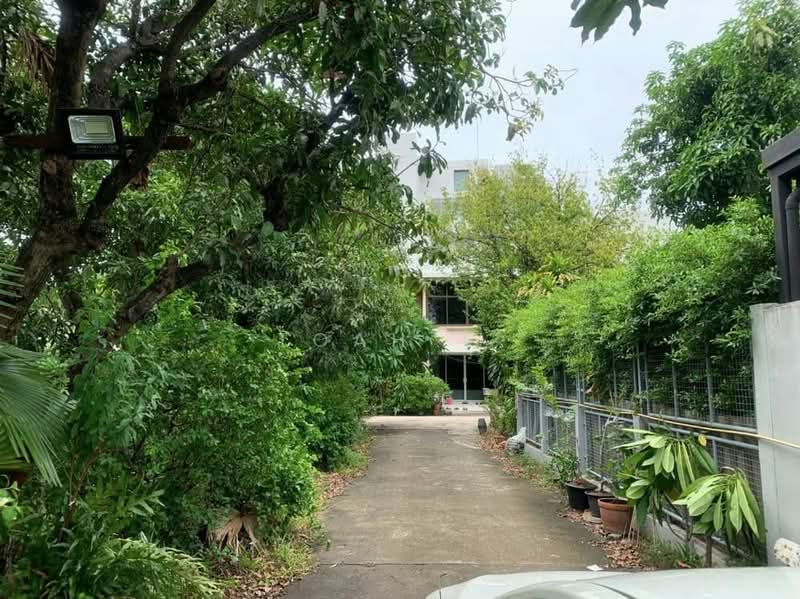 ขายที่ดิน เอกมัย ปรีดีย์พนมยงค์ สุขุมวิท : land for sell ekkamai pridi banomyong sukhumvit, กรุงเทพ, พระโขนง, คลองเตย, กรุงเทพ, 1,156 ตร.ม., ที่ดิน ขาย, โดย TOAH T., 11706992 - DDproperty.com