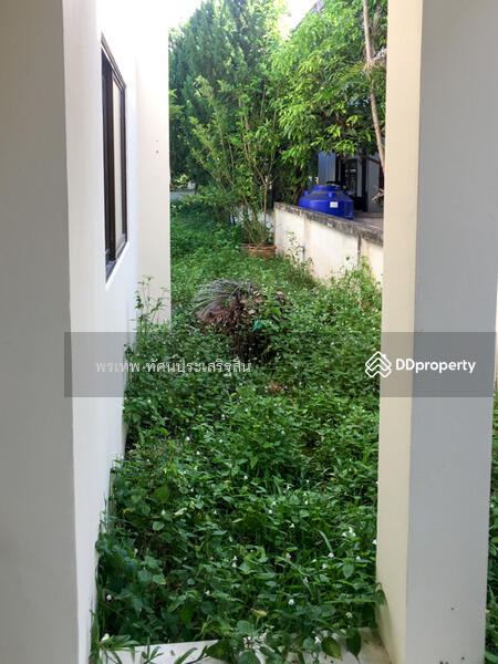 ขาย - Lanna Pinery Home : หมู่บ้านล้านนาไพเนอร์รี่, เชียงใหม่
