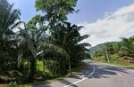 ขายที่ดินบ่อน้ำพุร้อนธรรมชาติ 50 องศา น้ำไหลตลอดปี วิวสวยท่ามกลางธรรมชาติ อ. กะปง จ. พังงา, พังงา