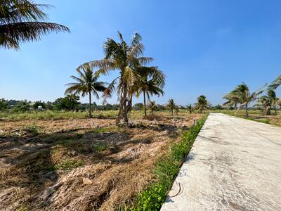 ขาย - ที่ดินแห่งใหญ่ในจังหวัดประจวบคีรีขันธ์, ประจวบคีรีขันธ์