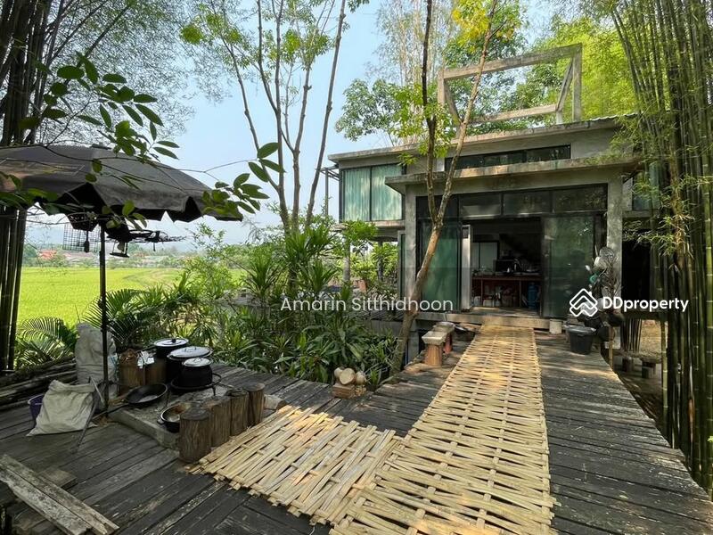 For Sale - 259 Home Stay Go Day Day, Chiang Mai