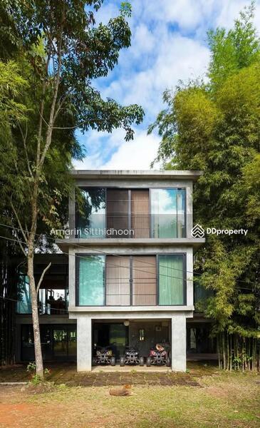For Sale - 259 Home Stay Go Day Day, Chiang Mai