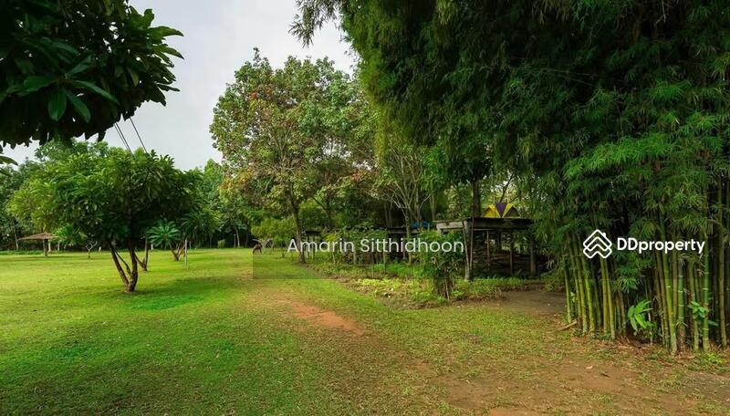 For Sale - 259 Home Stay Go Day Day, Chiang Mai