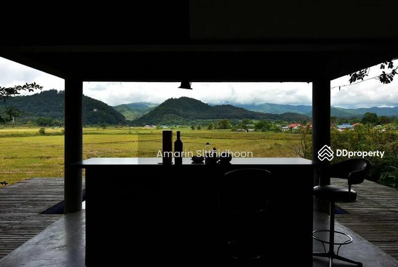 For Sale - 259 Home Stay Go Day Day, Chiang Mai
