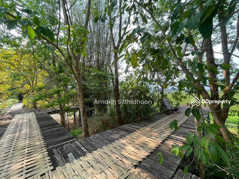 For Sale - 259 Home Stay Go Day Day, Chiang Mai