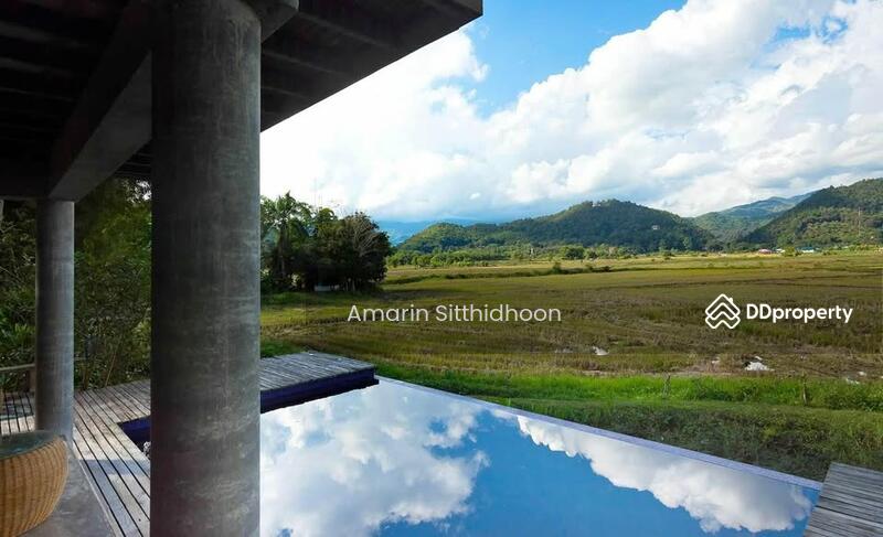 For Sale - 259 Home Stay Go Day Day, Chiang Mai