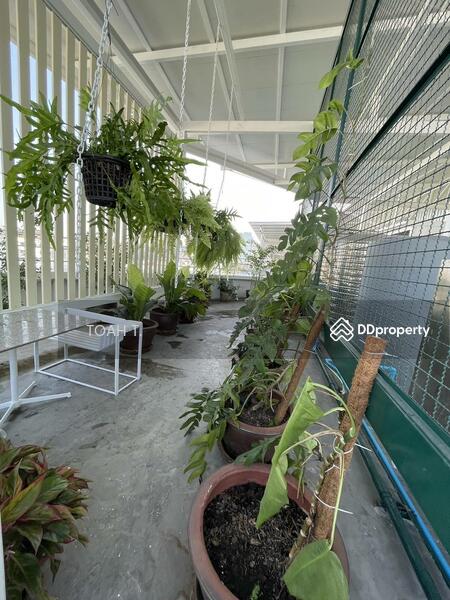 ให้เช่า - พื้นที่ให้เช่า รัชดาภิเษก : Space for rent Ratchadaphisek, กรุงเทพ