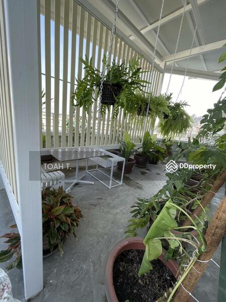 ให้เช่า - พื้นที่ให้เช่า รัชดาภิเษก : Space for rent Ratchadaphisek, กรุงเทพ