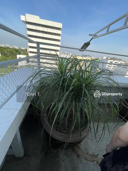ให้เช่า - พื้นที่ให้เช่า รัชดาภิเษก : Space for rent Ratchadaphisek, กรุงเทพ