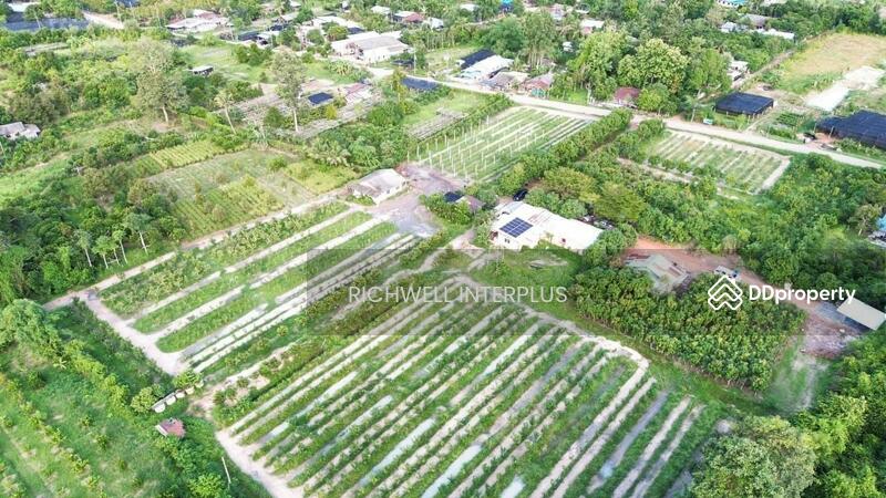 For Sale - Land for sale in Mai Khet with a garden house, total area 11 rai,, Prachin Buri