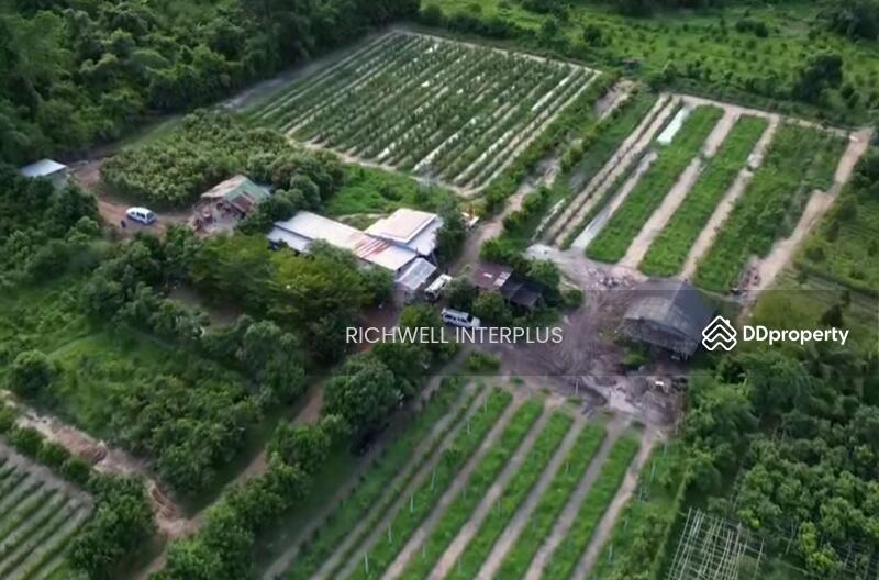 For Sale - Land for sale in Mai Khet with a garden house, total area 11 rai,, Prachin Buri