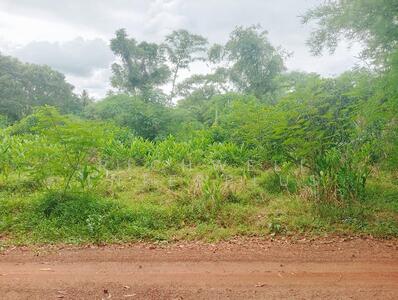 ขาย - ขายที่ดินเนินหอมเนื้อที่ 2 ไร่ หลังมหาวิทยาลัยเทคโนโลยีพระนครเหนือ(มจพ.ปราจีน), ปราจีนบุรี