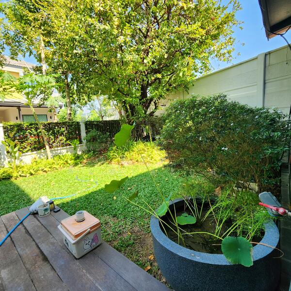 Centro Chaiyaphruek-Chaengwattana 2, Nonthaburi, 45/1 Moo 2, Khlong Khoi, Pak Kret, Nonthaburi, 3 Bedrooms, 250 sqm, Single Detached House For Rent, by วริธรา ลิ้มปาละกูล, 11713147 - DDproperty.com