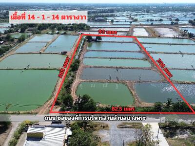 ขาย - ขาย ที่ดิน อบต.บางพระ ฉะเชิงเทรา ใกล้ วัดโสธรวรารามวรวิหาร 14-1-14 ไร่ (แบ่งขายได้), ฉะเชิงเทรา