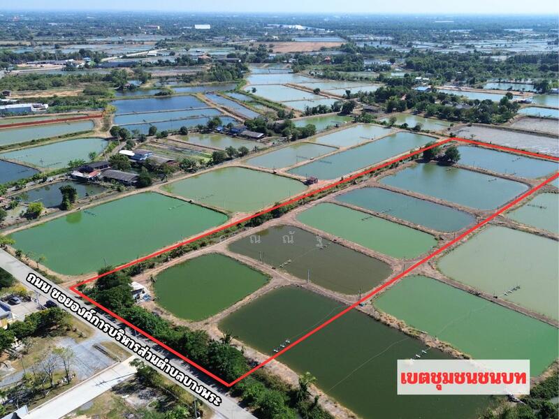 ขาย - ขาย ที่ดิน อบต.บางพระ ฉะเชิงเทรา ใกล้ วัดโสธรวรารามวรวิหาร 14-1-14 ไร่ (แบ่งขายได้), ฉะเชิงเทรา