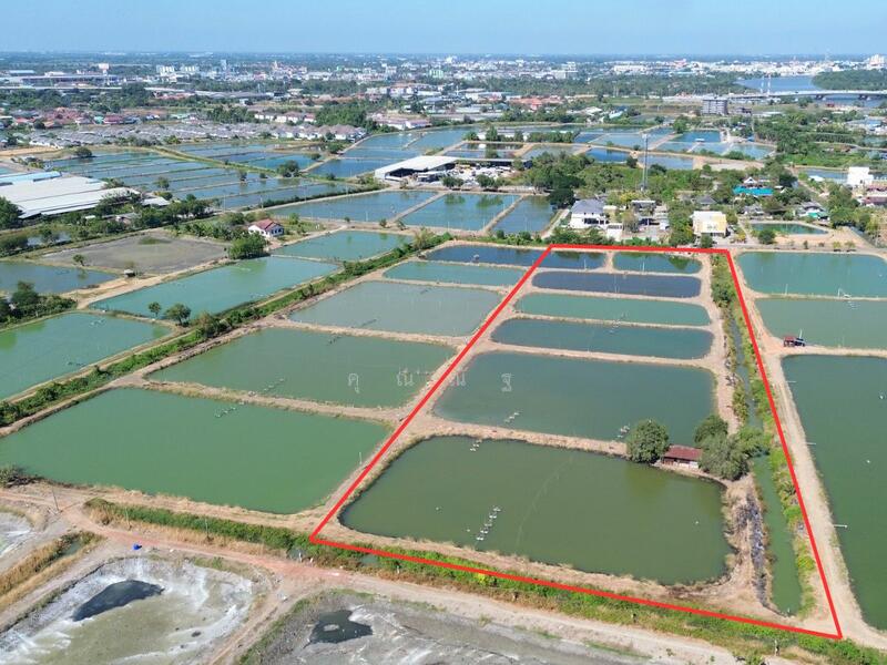 For Sale - ขาย ที่ดิน อบต.บางพระ ฉะเชิงเทรา ใกล้ วัดโสธรวรารามวรวิหาร 14-1-14 ไร่ (แบ่งขายได้), Chachoengsao