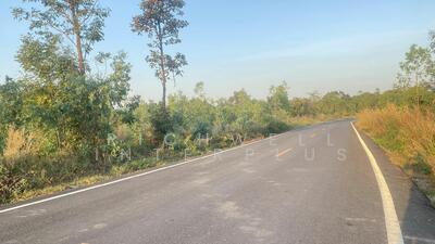 ขาย - ขายที่ดินหนองกี่บ้านโคกอุดมเนื้อที่ 3 ไร่ ติดถนนลาดยาง หลังตลาดเจริญทรัพย์, ปราจีนบุรี