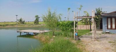 ขาย - ขายที่ดิน 6 ไร่ เศษ แถมบ้านน้อยปลายนา เหมาะทำการเกษตรพอเพียง พร้อมพักอาศัย พร้อมติดแผงโซล่าเซลล์, นครนายก