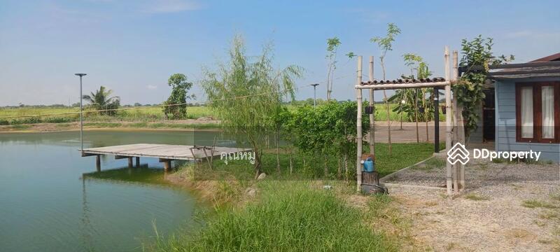 ขาย - ขายที่ดิน 6 ไร่ เศษ แถมบ้านน้อยปลายนา เหมาะทำการเกษตรพอเพียง พร้อมพักอาศัย พร้อมติดแผงโซล่าเซลล์, นครนายก