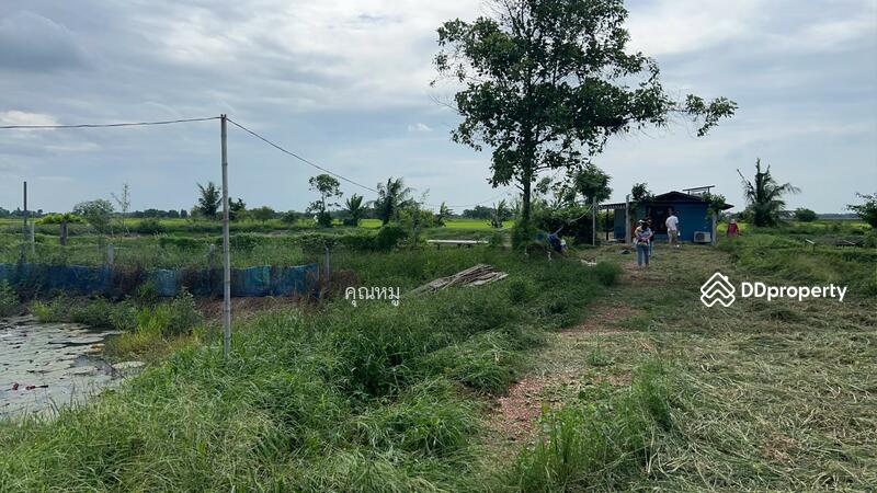 ขาย - ขายที่ดิน 6 ไร่ เศษ แถมบ้านน้อยปลายนา เหมาะทำการเกษตรพอเพียง พร้อมพักอาศัย พร้อมติดแผงโซล่าเซลล์, นครนายก