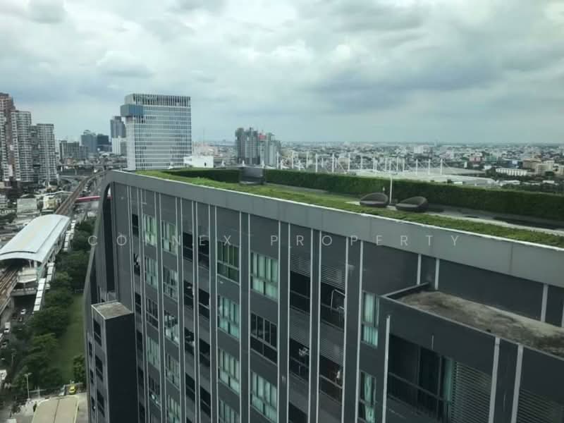 IDEO MOBI Sukhumvit Eastgate, Bangkok, 4371 Sukhumvit Road, Bang Na, Bang Na, Bangkok, 1 Bedroom, 30 sqm, Condo For Sale, by Connex Property, 11714654 - DDproperty.com