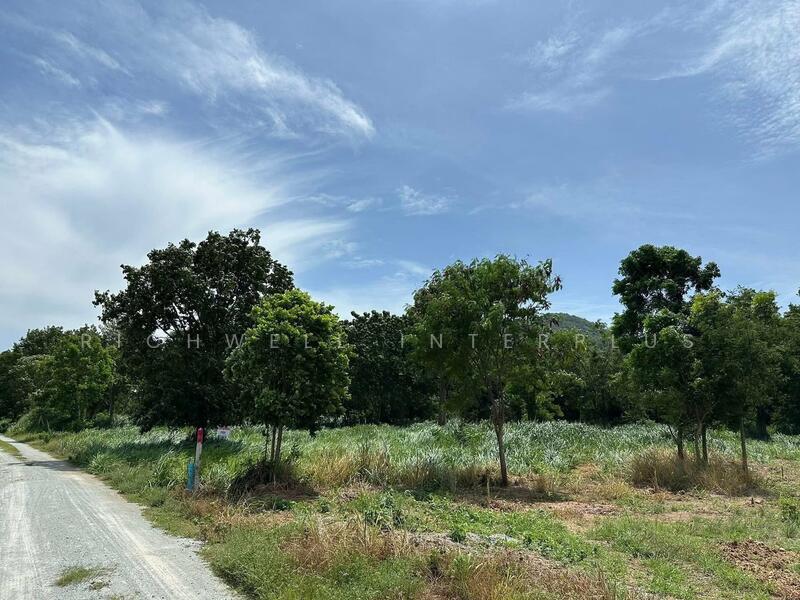ขายที่ดินบางพระ 2 ไร่ วิวหลังเขา หน้าวิวทะเล ใกล้อ่างเก็บน้ำบางพระ3กม. อ.ศรีราชา ชลบุรี, ชลบุรี, บางพระ, ศรีราชา, ชลบุรี, 3,404 ตร.ม., ที่ดิน ขาย, โดย RICHWELL INTERPLUS, 11715231 - DDproperty.com