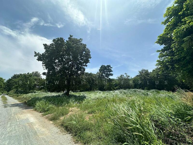 Land for Sale in Bang Phra, Si Racha, Chonburi 2 Rai Mountain view at the back, Chon Buri (Pattaya), Bang Phra, Si Racha, Chon Buri (Pattaya), , 3,404 sqm, Land For Sale, by RICHWELL INTERPLUS, 11715231 - DDproperty.com
