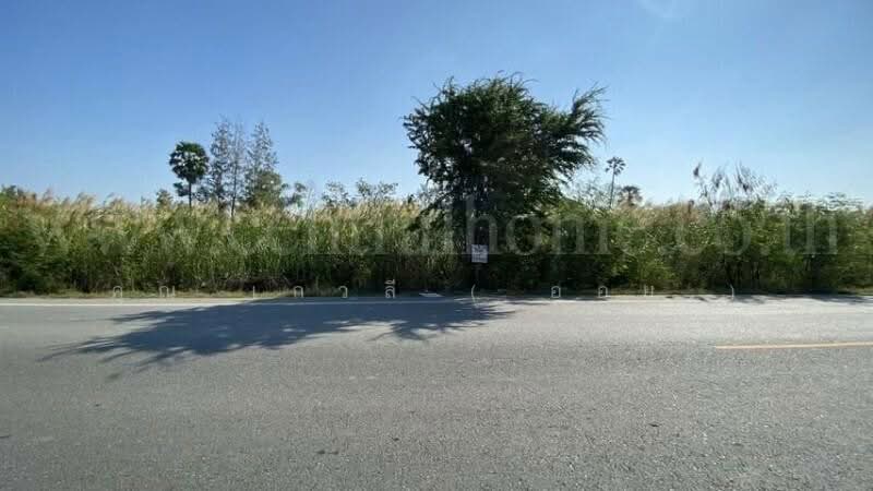 ที่ดิน 3 ไร่ 25 ตร.ว. ติดมอเตอร์เวย์ M81, Nakhon Pathom, เพชรเกษม, Tha Phraya, Nakhon Chai Sri, Nakhon Pathom, , 4,900 sqm, Land For Sale, by คุณ เกวลี ( ออย ), 11715976 - DDproperty.com