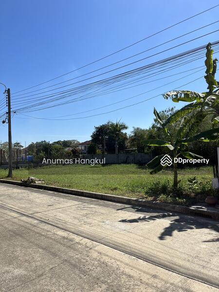 ขาย - Panya Lake Home : ปัญญาเลคโฮม, กรุงเทพ