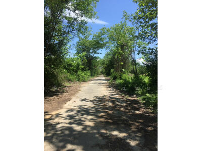 ขาย - เชียงใหม่คันทรีการ์เด้น, เชียงใหม่