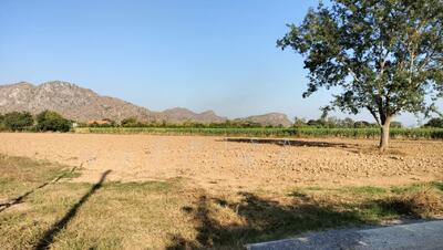 ขาย - ด่านมะขามเตี้ย, กาญจนบุรี