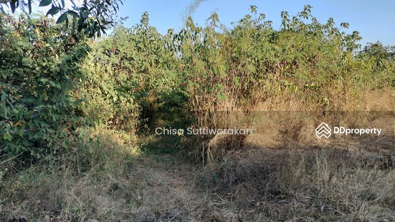 For Sale - ด่านมะขามเตี้ย, Kanchanaburi