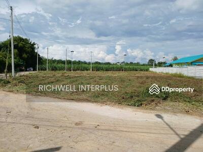 ขาย - ขายที่ดินบ่อทองติดถนนคอนกรีต2ด้านเนื้อที่ 398 ตรว. ใกล้ถนนเส้น3340-750เมตร หลังโรงพยาบาลบ่อทอง, ชลบุรี
