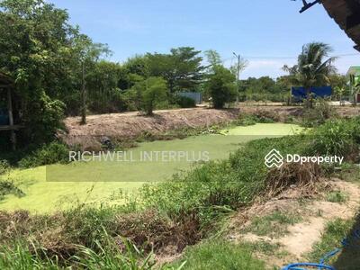 ขาย - ขายที่ดินห้วยใหญ่เนื้อที่ 2 ไร่ ซอยวัดเทพบุตร ติดคลอง ใกล้ถ.สุขุมวิท6กม., ชลบุรี