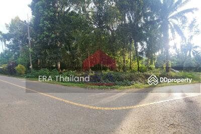 ขาย - ที่ดินเขากลม 2 ไร่ 3 งาน 93 ตร.ว. ใกล้ ดินแดงดอย, กระบี่