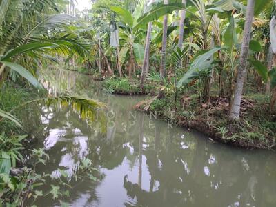 ขาย - ที่ดินเปล่า ถนนไร่ขิง-ดอนหวาย ใกล้แหล่งท่องเที่ยว, นครปฐม