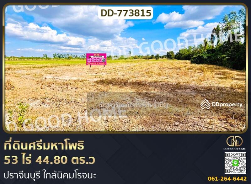 ขาย - ที่ดินศรีมหาโพธิ 53 ไร่ 44.80 ตร.ว ปราจีนบุรี, ปราจีนบุรี