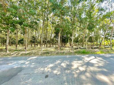 ขาย - ขายที่ดินทับมาเนื้อที่ 1 ไร่ พร้อมสวนยาง ใกล้ถนนเส้น36-950เมตร, ระยอง