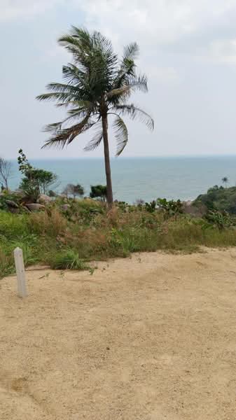 Satori Haad Yao Beach, Surat Thani, Ko Phangan, Ko Phangan, Surat Thani, , 28,800 sqm, Land For Sale, by Khunamat Srisongkhram, 11721390 - DDproperty.com