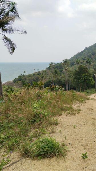 Satori Haad Yao Beach, Surat Thani, Ko Phangan, Ko Phangan, Surat Thani, , 28,800 sqm, Land For Sale, by Khunamat Srisongkhram, 11721390 - DDproperty.com