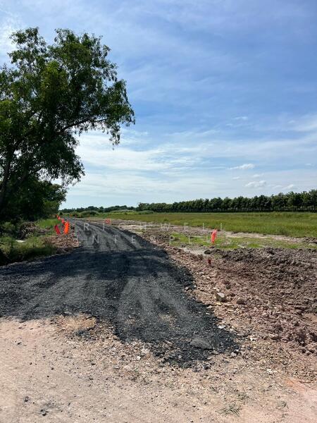 Land for sale, cash or installment, in Ban Na, 200 square wah (approx. 800 sq.m.),, Nakhon Nayok, Asa, Ban Na, Nakhon Nayok, , 800 sqm, Land For Sale, by RICHWELL INTERPLUS, 11721490 - DDproperty.com