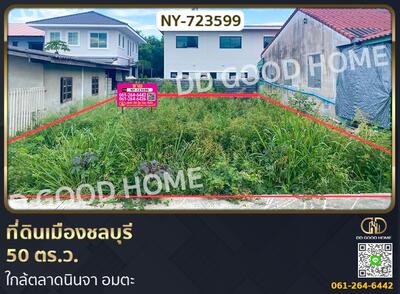 ขาย - ที่ดินเมืองชลบุรี 50 ตร.ว. ใกล้ตลาดนินจา อมตะ, ชลบุรี