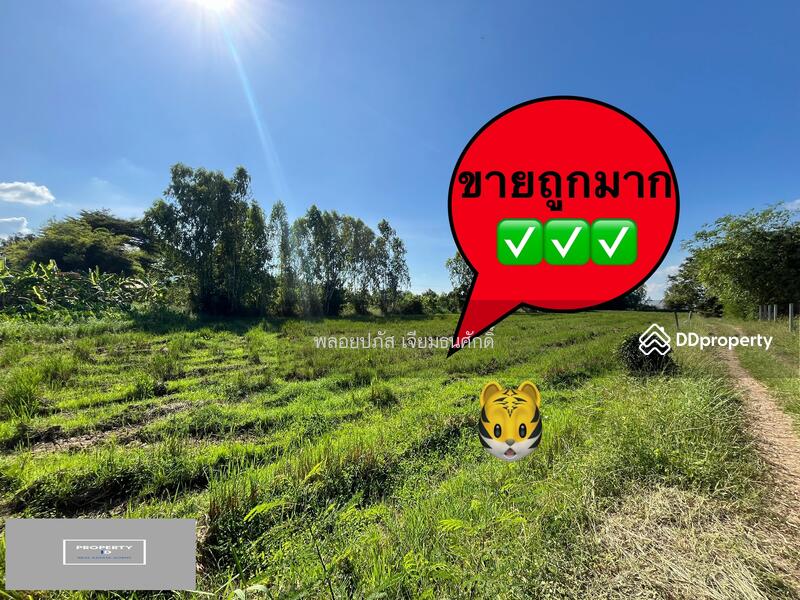 For Sale - ถนนร่องแซง, Saraburi
